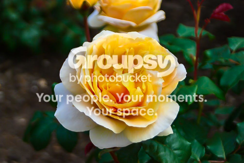 jjjjjjuuuuuuqqqqqqqqqq-3_zpsztu2rd6c.jpg