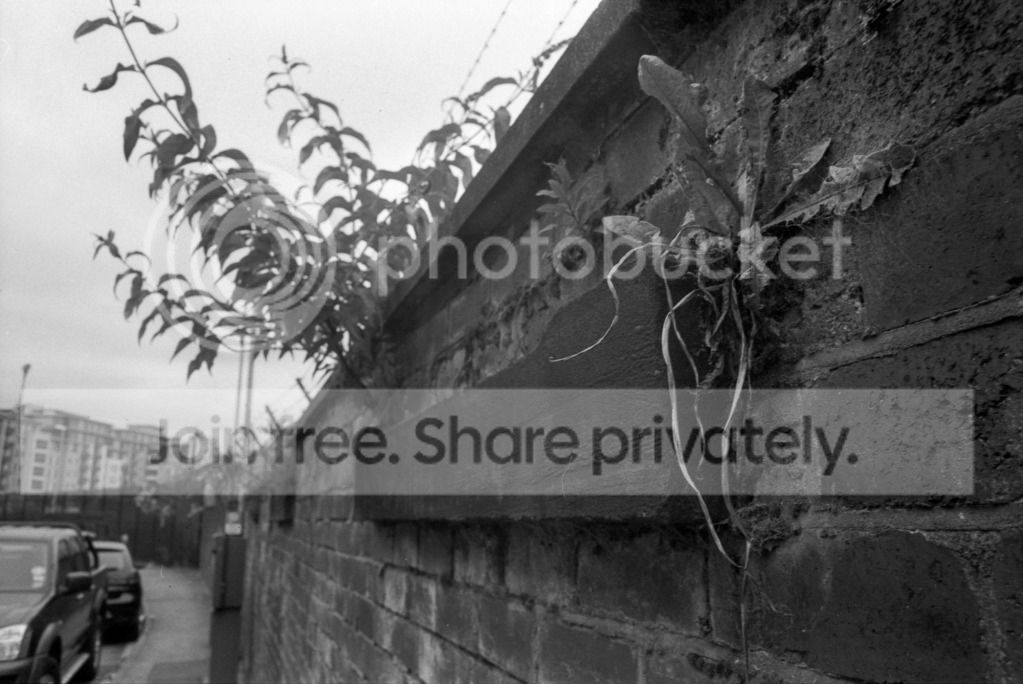 Scan-120806-0023.jpg