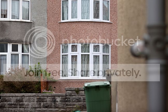 window135.jpg