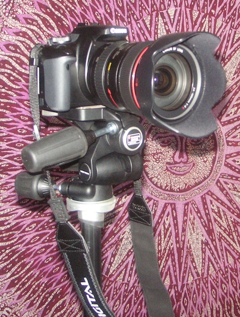 2369501996_df210386a9_o.jpg
