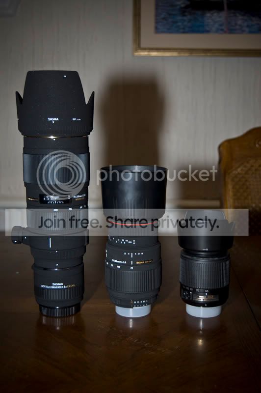 DSC_0054800px.jpg