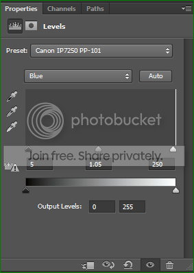 Canon_levelsadjust.png