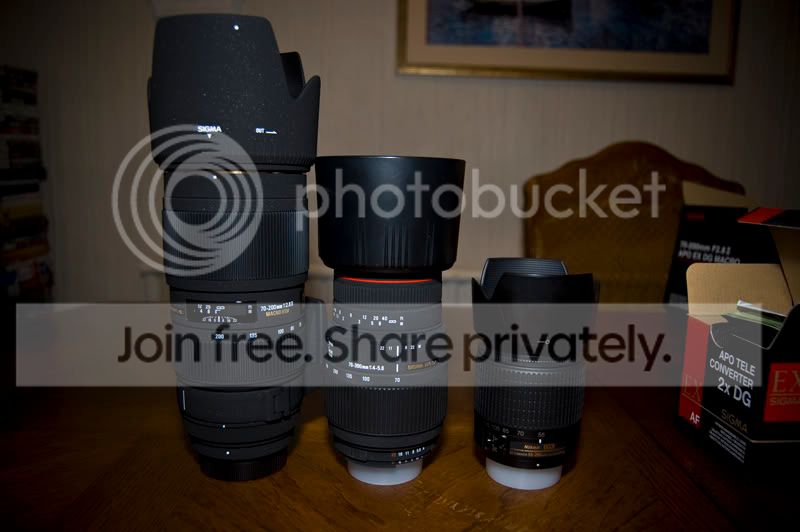 DSC_0043800px.jpg