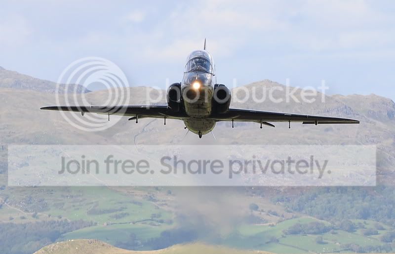 Hawk02.jpg