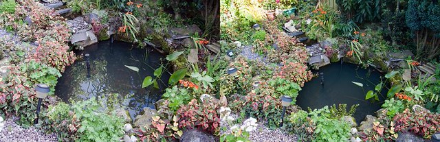 4941341623_6300deb14b_z.jpg