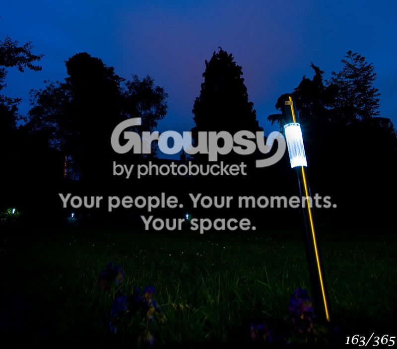 365_163.jpg