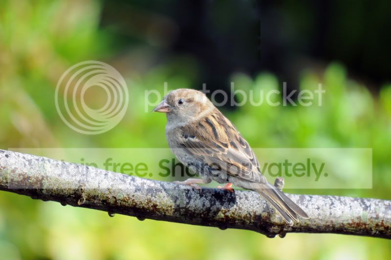 DSC_5738.jpg