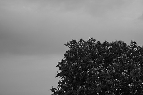 4627233942_1c4db3f6e1.jpg