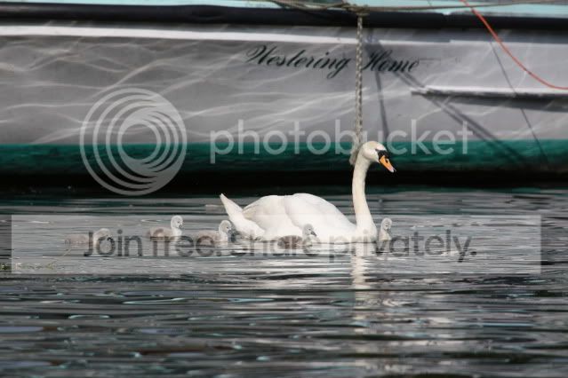 IMG_7819.jpg