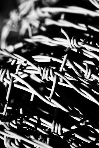 3384053695_c1f7980a8a.jpg