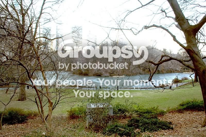 CentralPark1.jpg