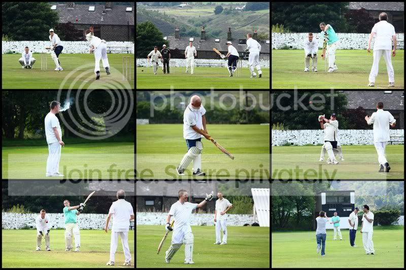 cricketmontage_1copycolourspaceadded800x600.jpg