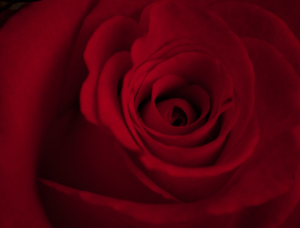 5462358107_5893992a24_b.jpg