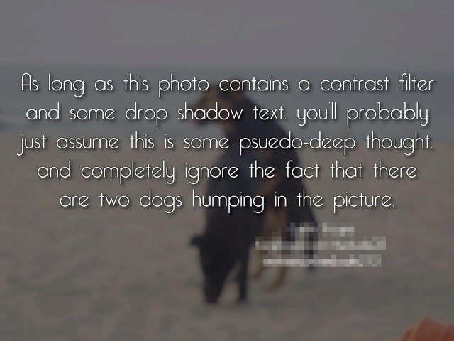 09901.jpeg