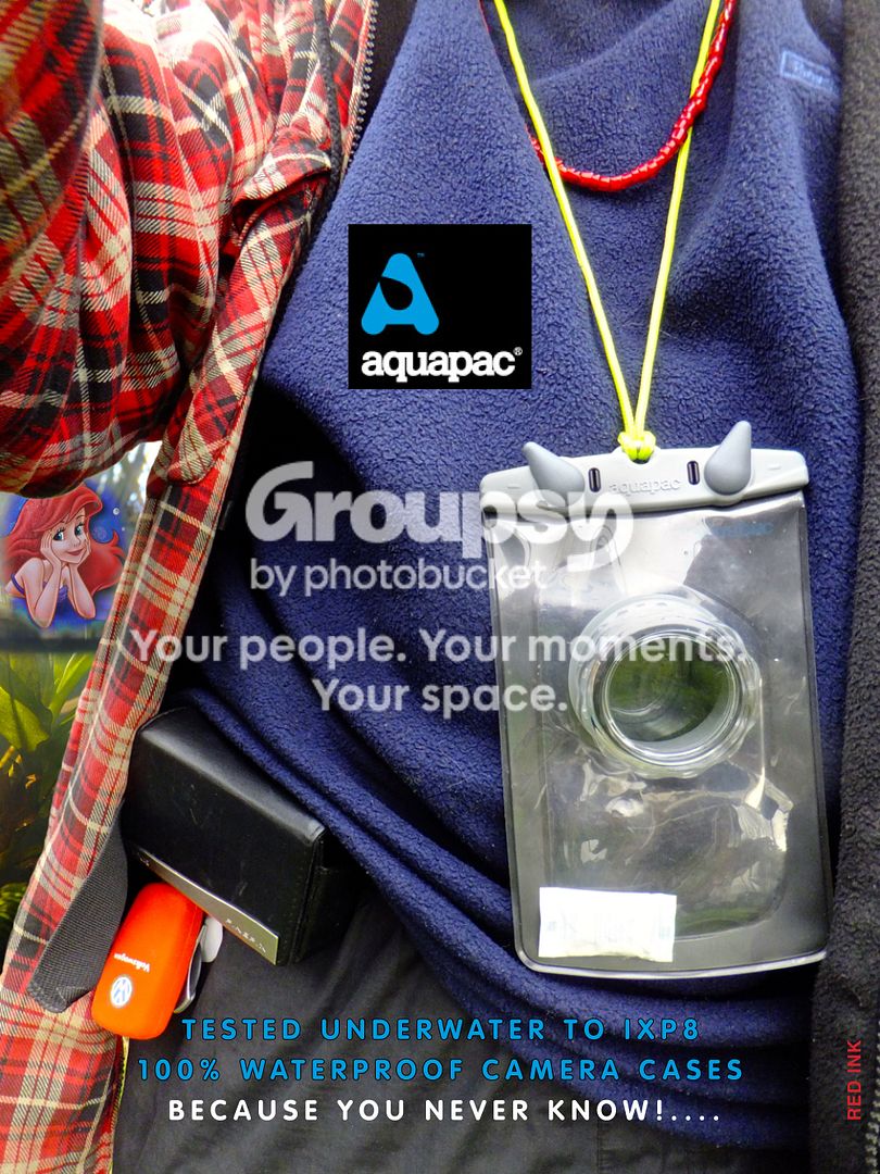 Ariel_Aquapac_IXP8_zpsb4672080.jpg