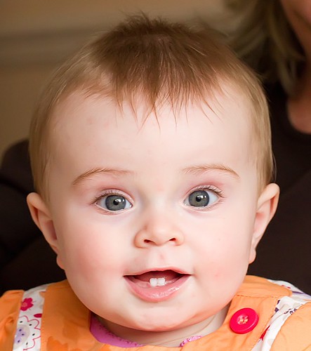 4461525781_2900121e20.jpg