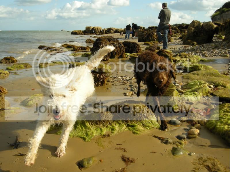 IOW107.jpg