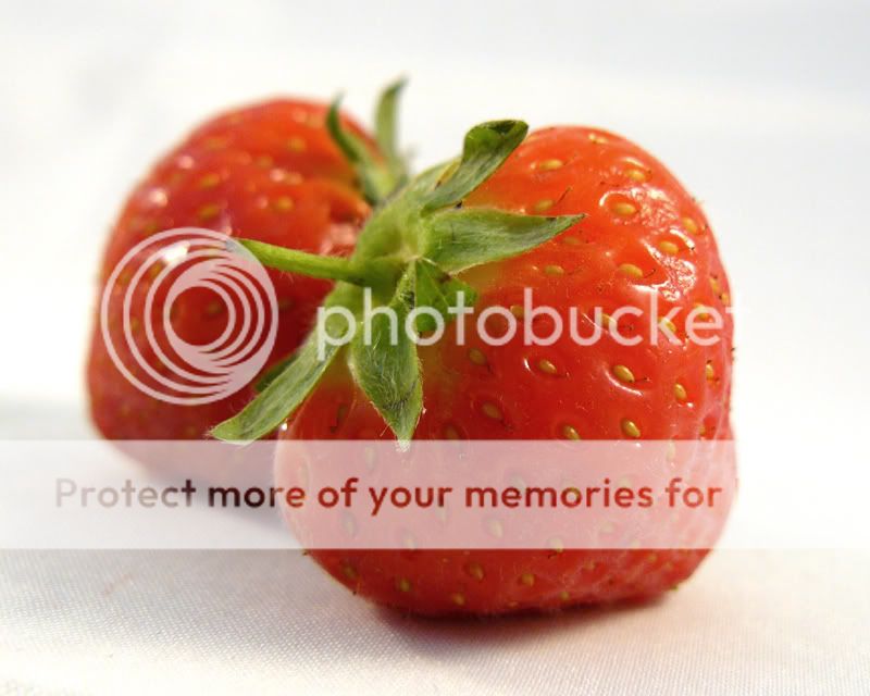 strawberries-1.jpg