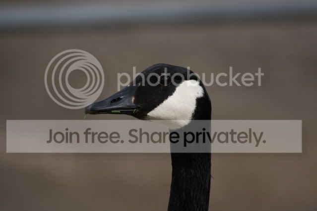 IMG_7885.jpg