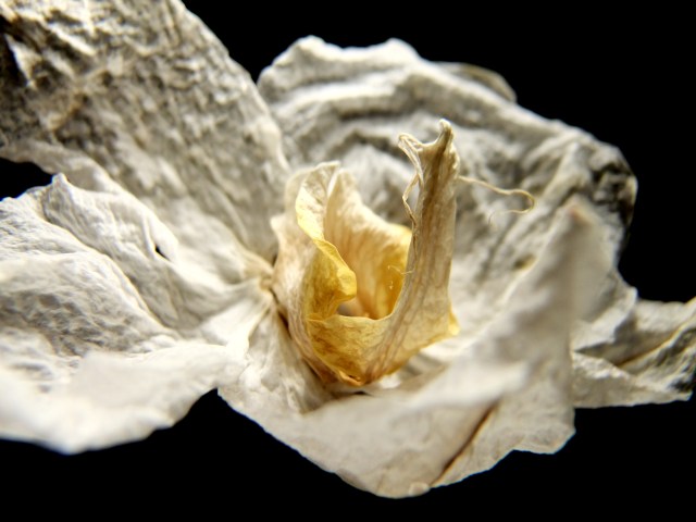4115707262_f74acbf65d_o.jpg