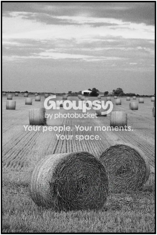 bales.jpg