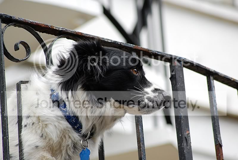 DSC_9222.jpg
