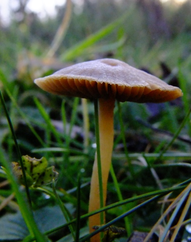 4163495930_aa374a9ede_o.jpg