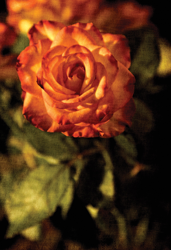 4266016864_7d40eedd7e_o.jpg