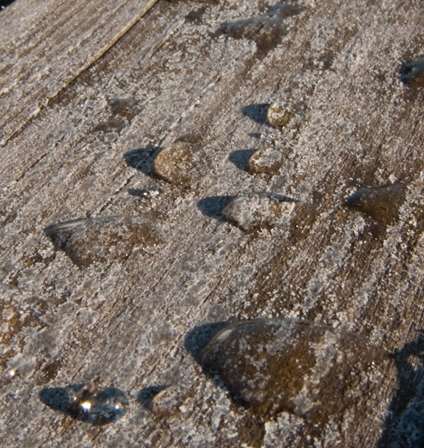 test4macro.jpg