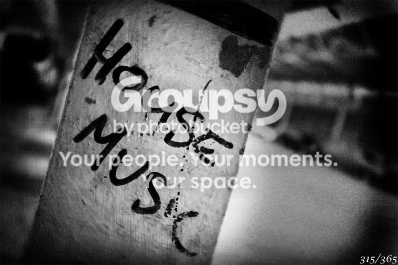 365_315.jpg