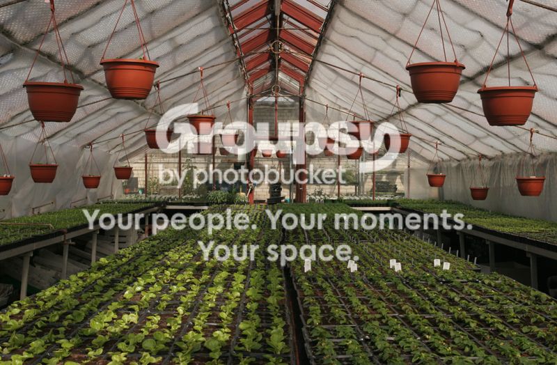 Greenhouse.jpg