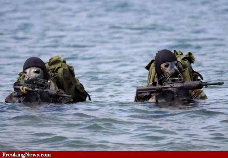 navyseals.jpg