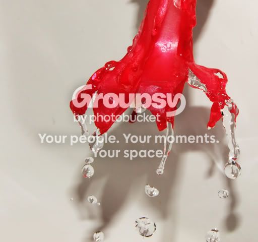 DSCF8730.jpg