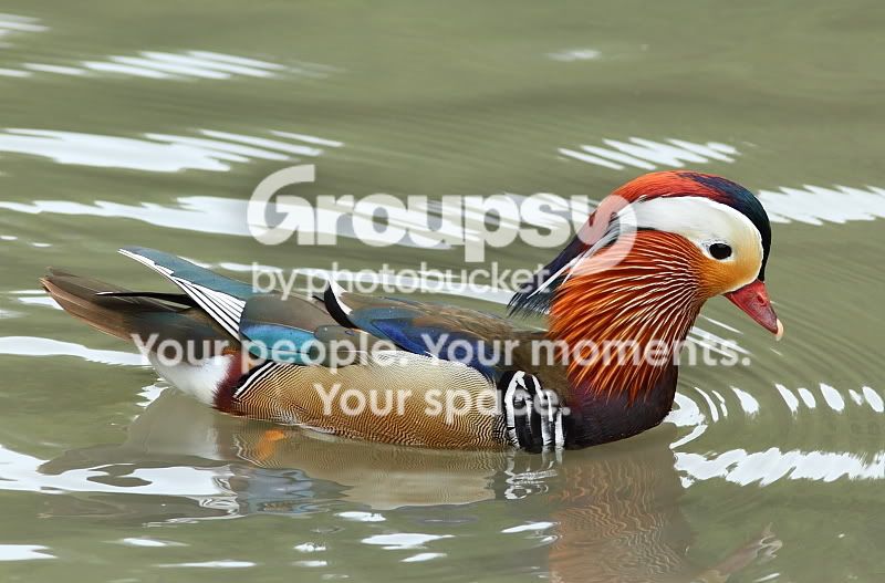 300-2.jpg