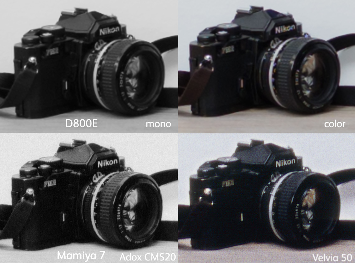 D800E-vs-Mamiya7-including-colour.jpg