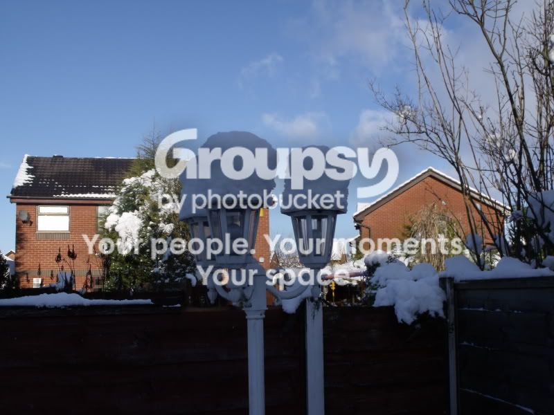2010_0105picsJanuaryDecember0009.jpg