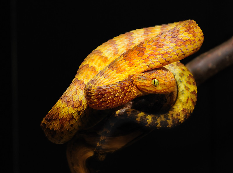 DSC7981-L.jpg