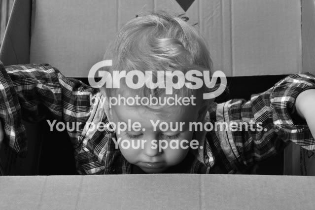 01-08-2010No1.jpg