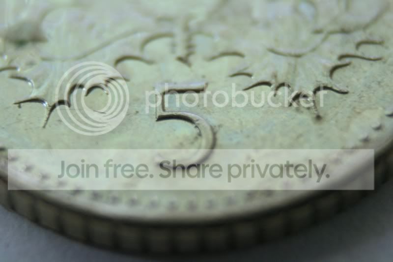 macro022800x533.jpg