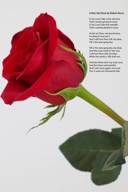 4262895937_a434bdd2d0_o.jpg