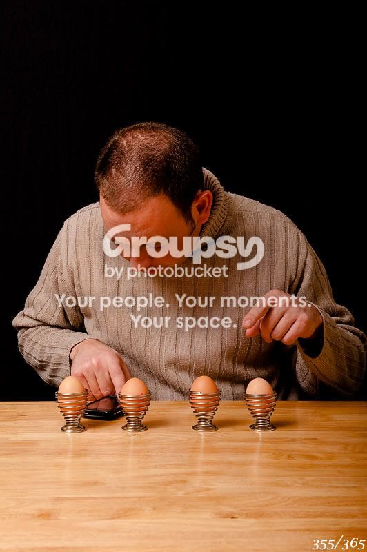 365_355.jpg
