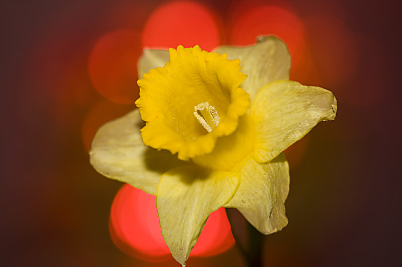 3355051704_a77f8569e8_o.jpg