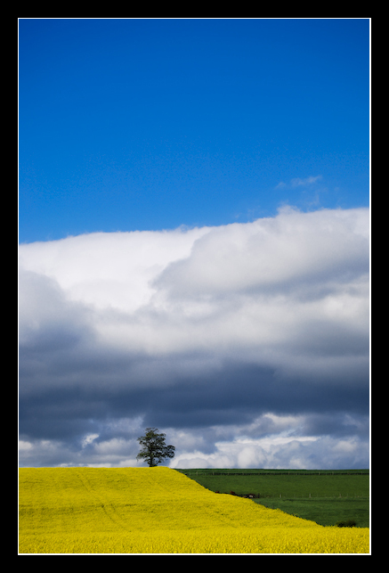 Field_of_Clouds_2_by_MessiahKhan.jpg
