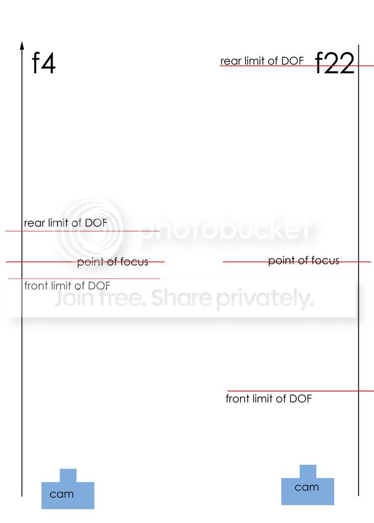 dof-1.jpg