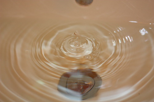 4278777830_b88ce80ebb.jpg