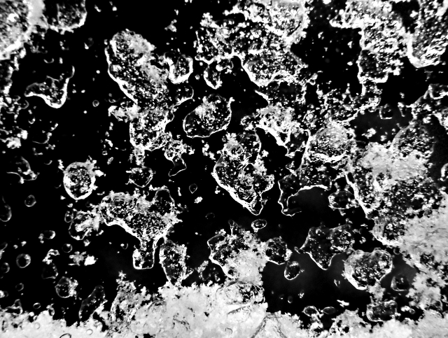 4195401149_c502dc7a54_o.jpg