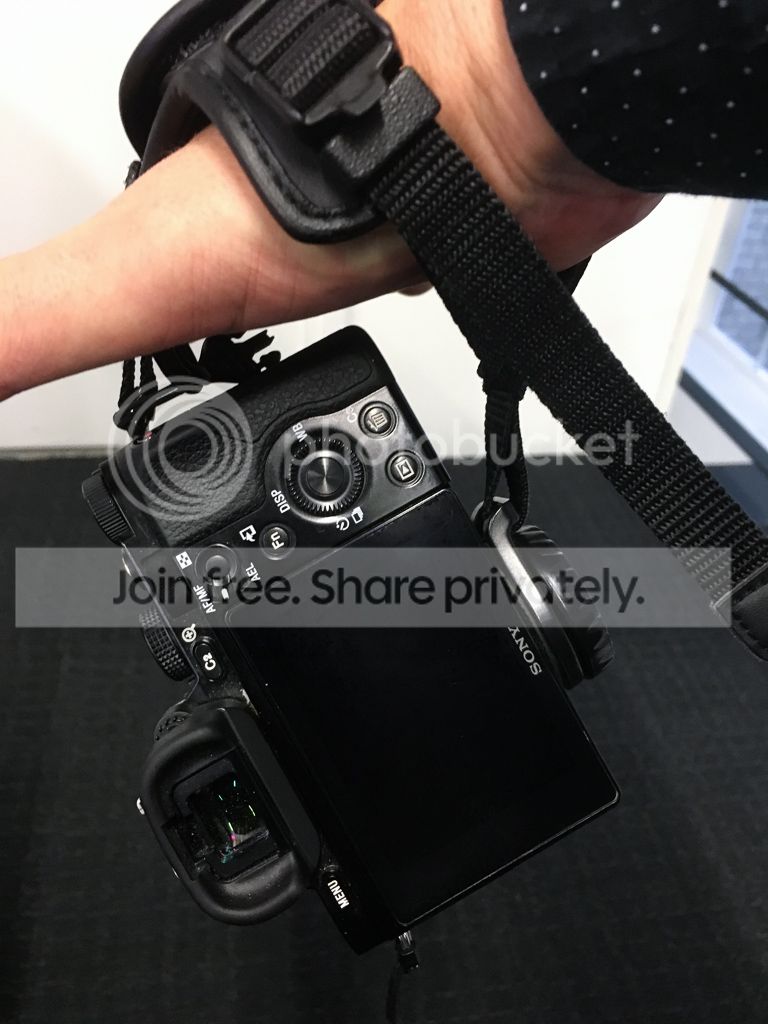 IMG_4369.jpg~original