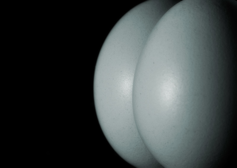 4239683287_38b5919080_o.jpg
