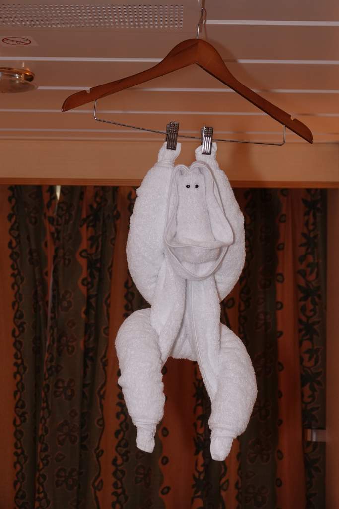 DSC00869.JPG