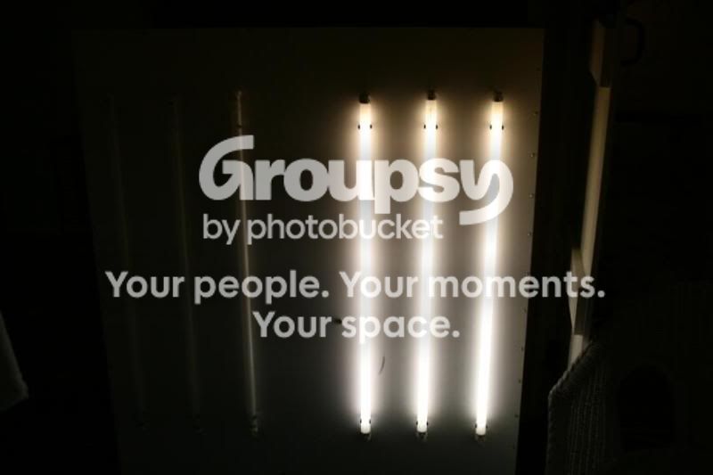 lightbox.jpg